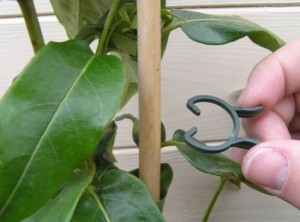 KLIPSY DO MOCOWANIA ROŚLIN dwa rozmiary (mix 25mm i 18mm) 50szt