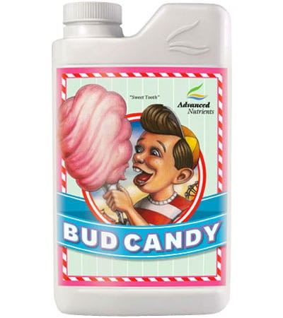bud-candy.jpg
