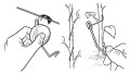 pol_pl_Rolka-JOJO-z-linka-do-ksztaltowania-roslin-8-szt-2857_4.jpg