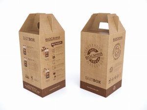 EASY BOX starter BIOCANNA