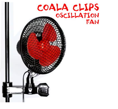 coala.png