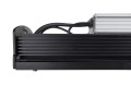 160 W - A43A5270d.jpg