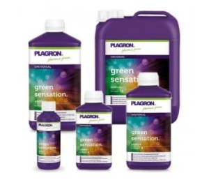 GREEN SENSATION, 5L, STYMULATOR KWITNIENIA, PLAGRON