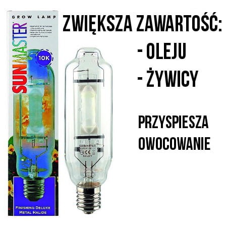 391fc3474e52639afcf83a68e564699d.jpg